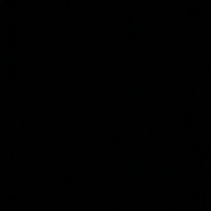 Meet your Posher, Sophia